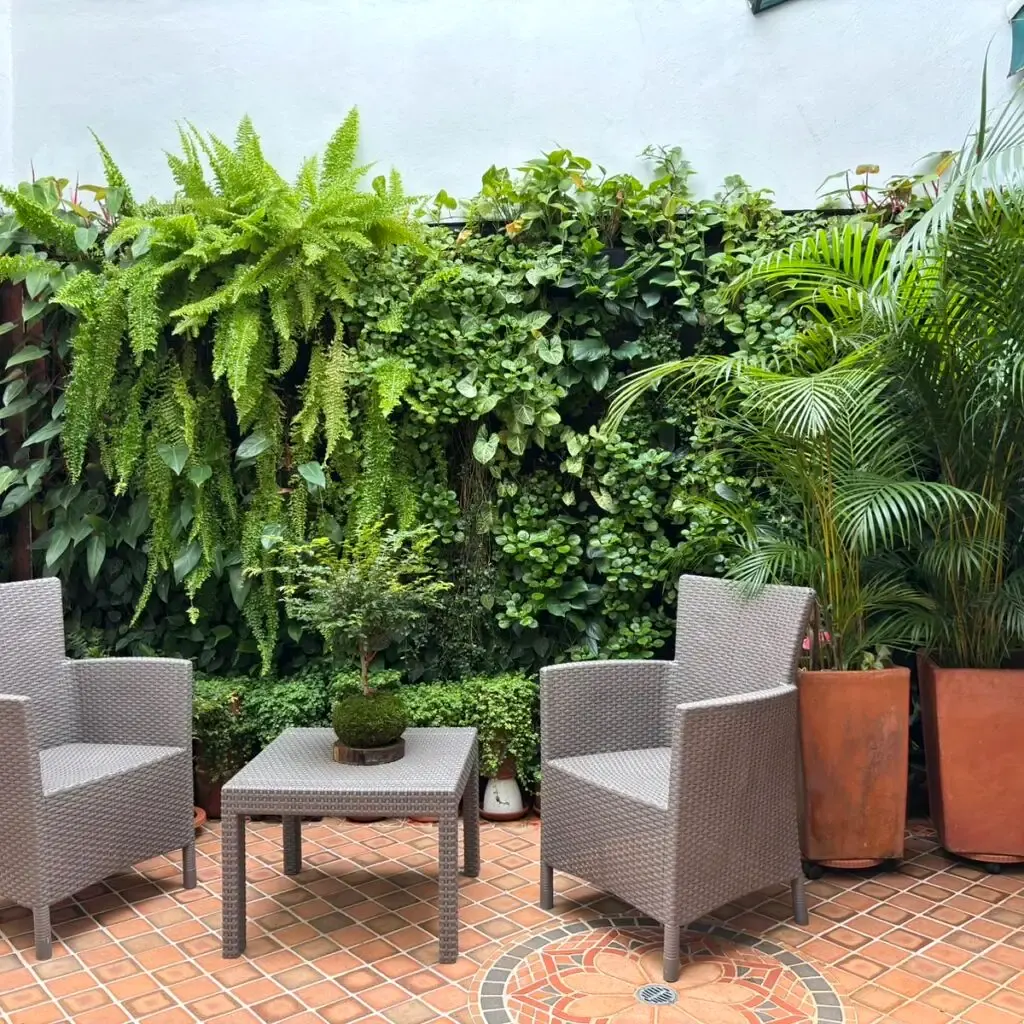 Zona de descanso Recovery House BELA Internacional